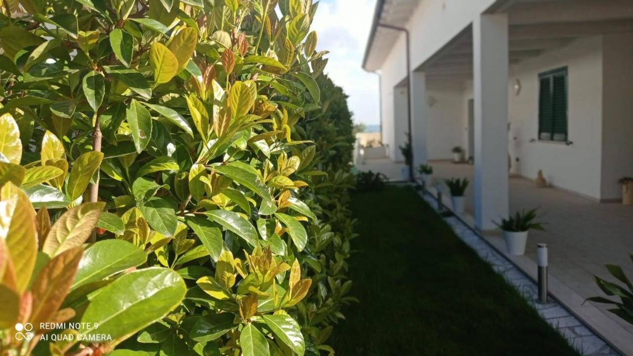 Matera Nel Verde Dış mekan fotoğraf